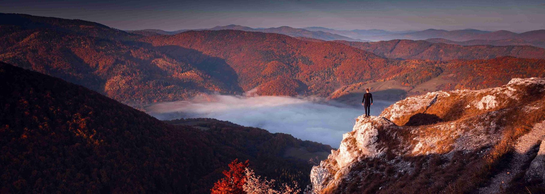 A man stands on a rock surrounded by mountains with brown threes